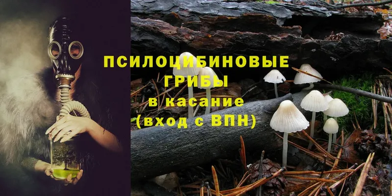 Галлюциногенные грибы Magic Shrooms  Пугачёв 